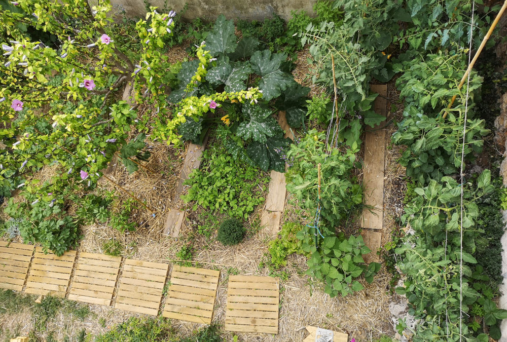 Chez Fred : petit jardin de ville