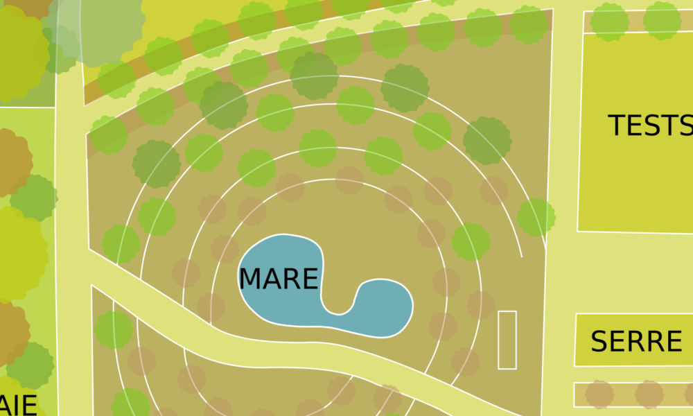 Conception de notre jardin-forêt : une version adaptée aux légumes perpétuels