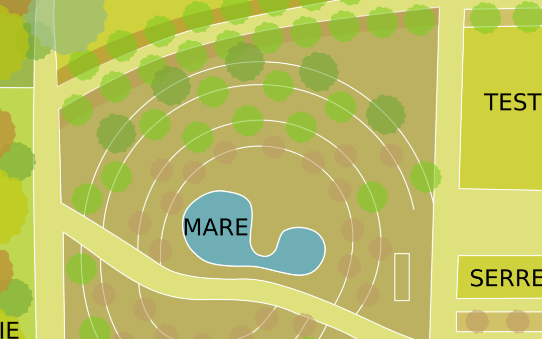 Conception de notre jardin-forêt : une version adaptée aux légumes perpétuels
