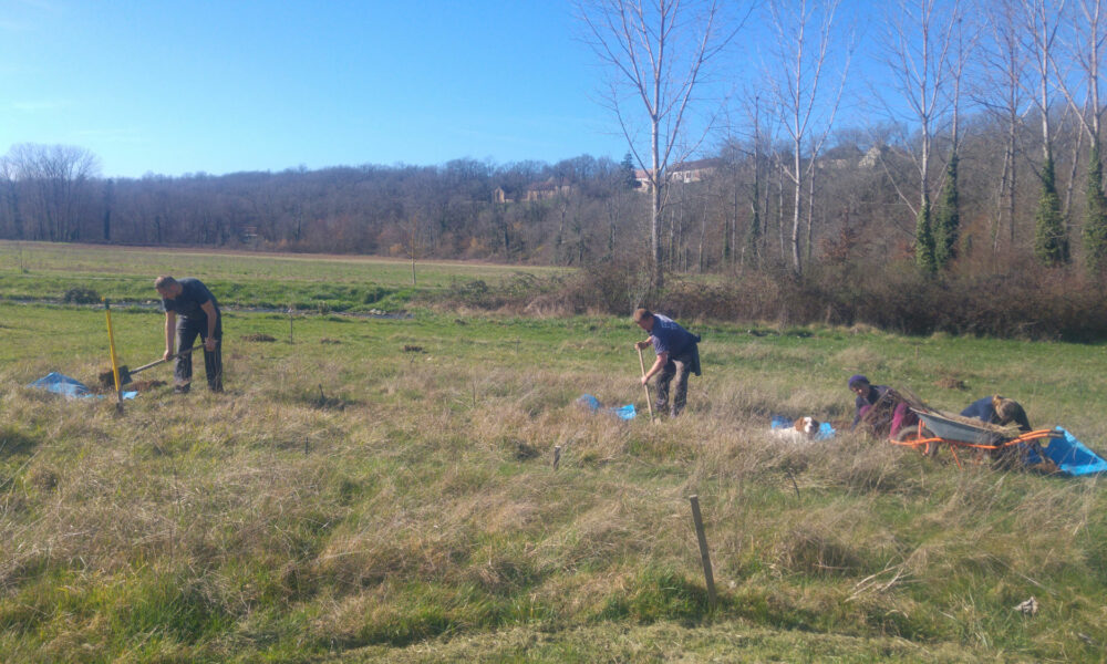 Plantation du jardin-forêt : phase 1, la canopée