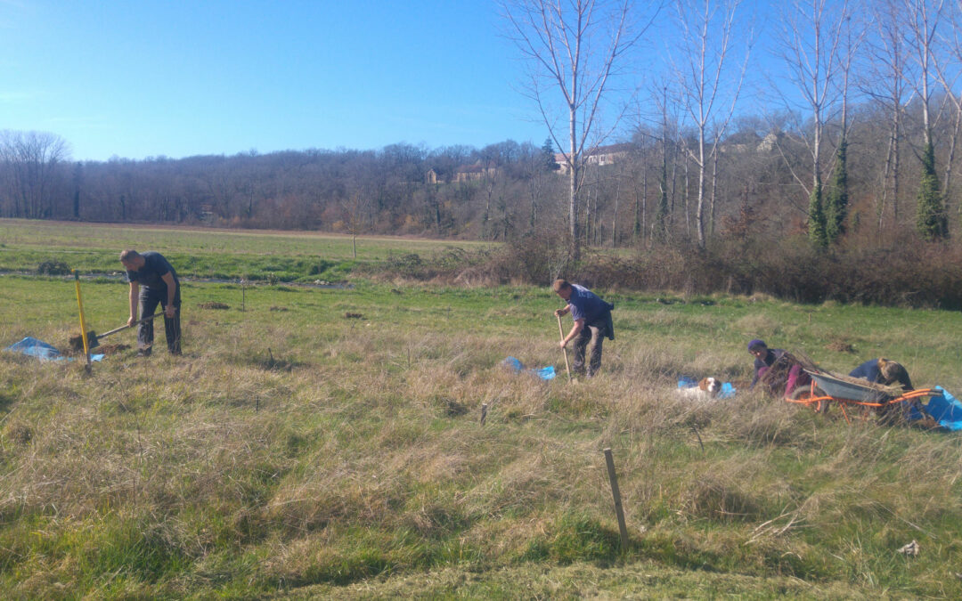 Plantation du jardin-forêt  : phase 1, la canopée