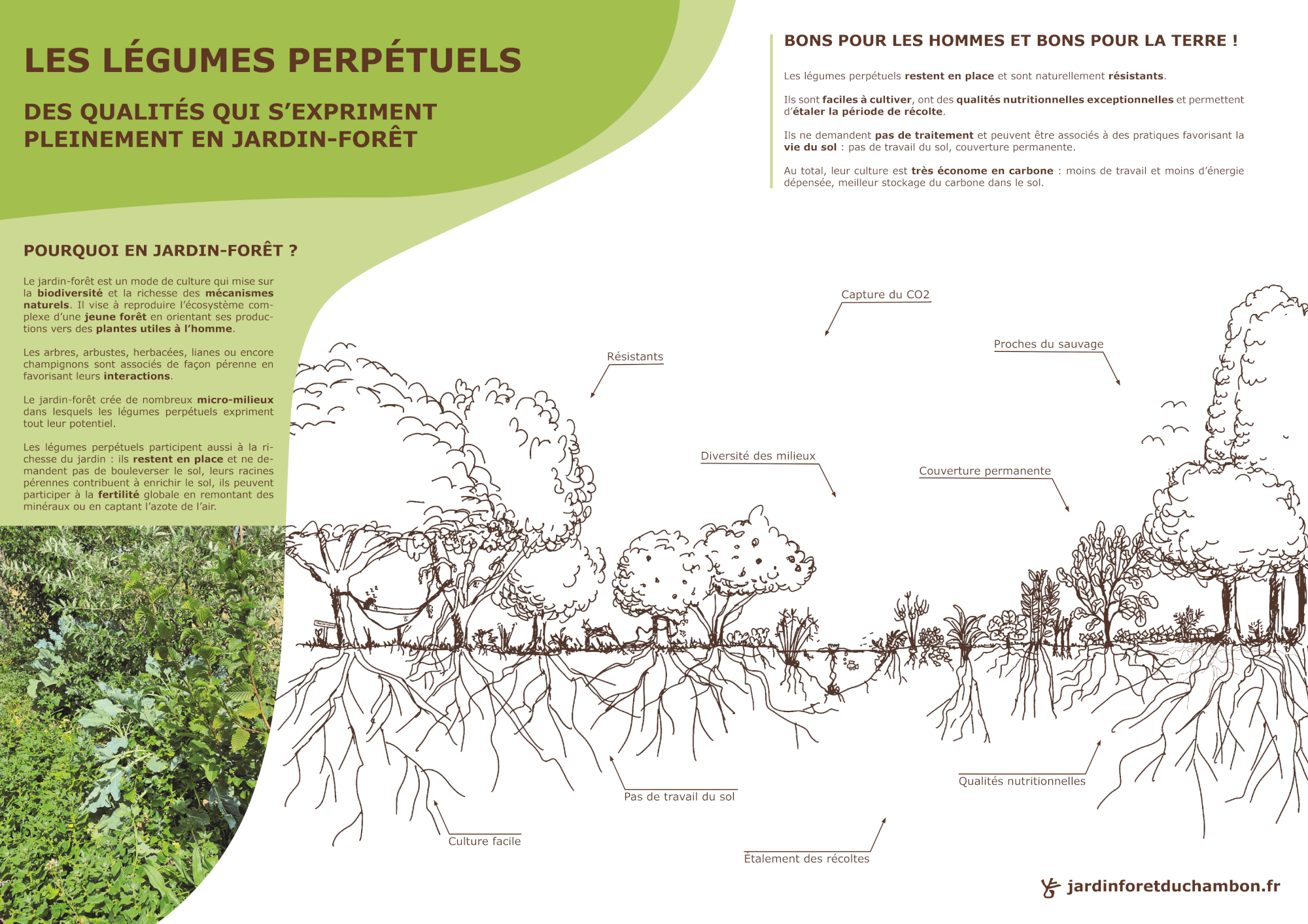 affiche_jardin_foret-legumes_perpetuels-2000
