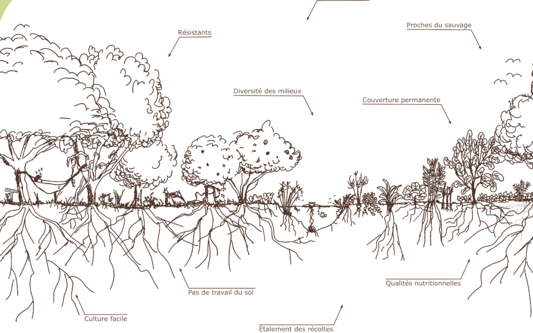 affiche_jardin_foret-legumes_perpetuels-extrait-1800×1125-1