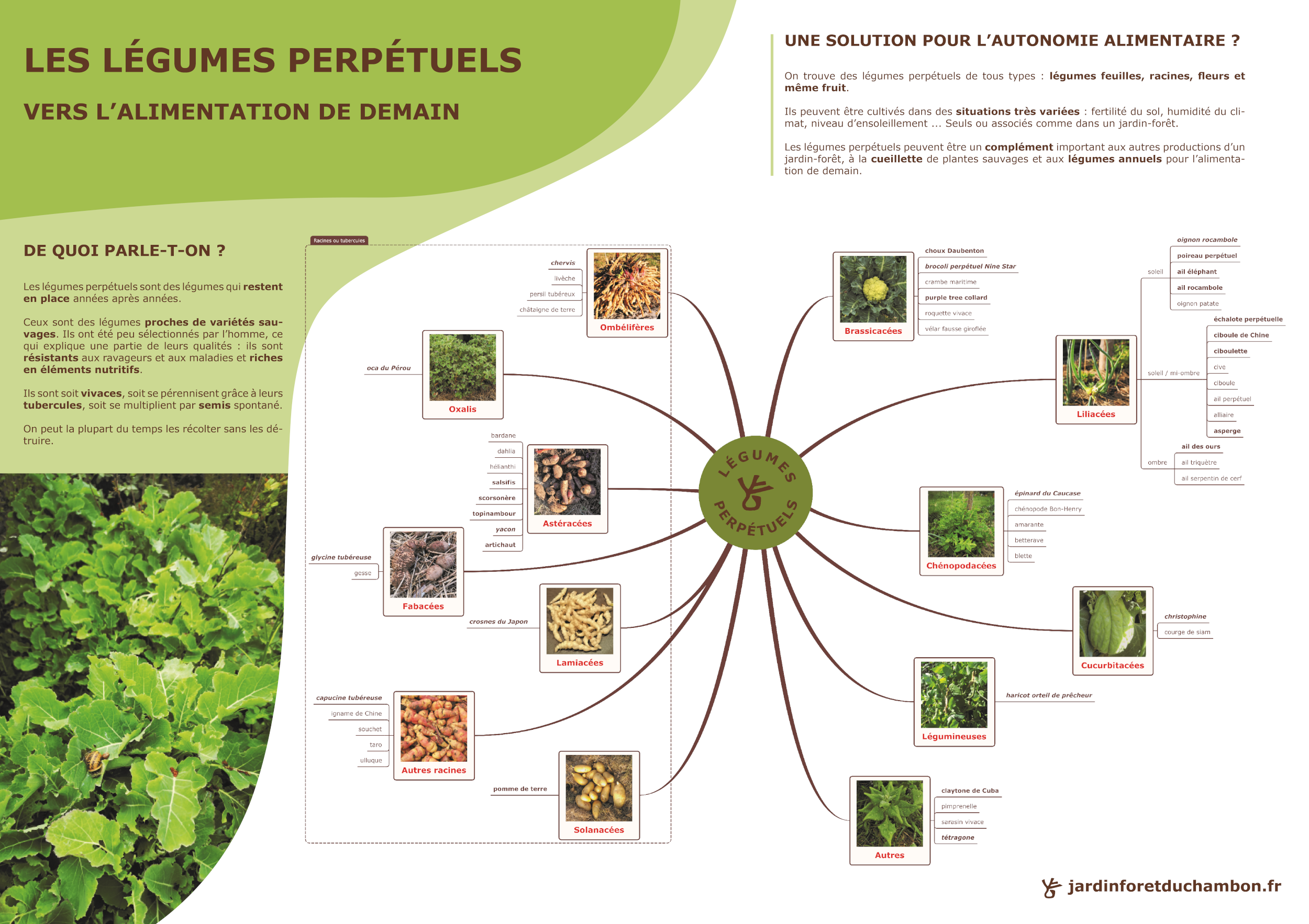 affiche_legumes_perpetuels-2500