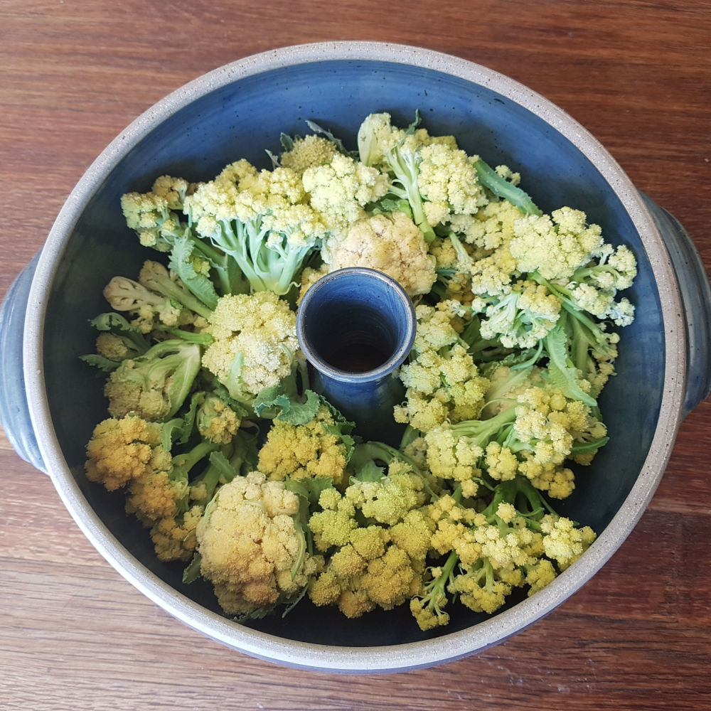 Brocoli Nine star perennial – Image 5